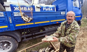 Отличная новость для любителей карпфишинга!